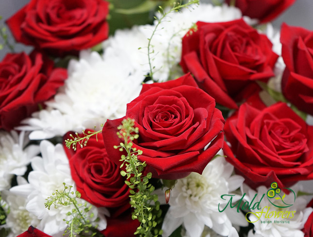 Buchet de trandafiri rosii si crizanteme albe foto